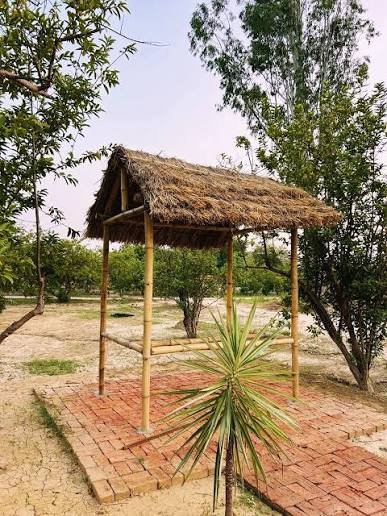 Bamboo and thatch hut at Anokha Gaon